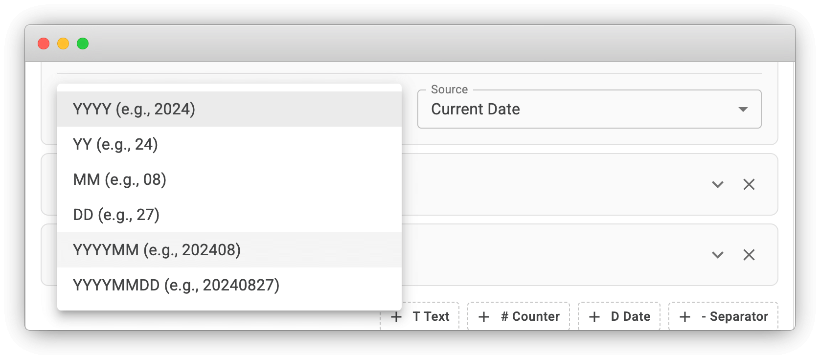 Date Format Options